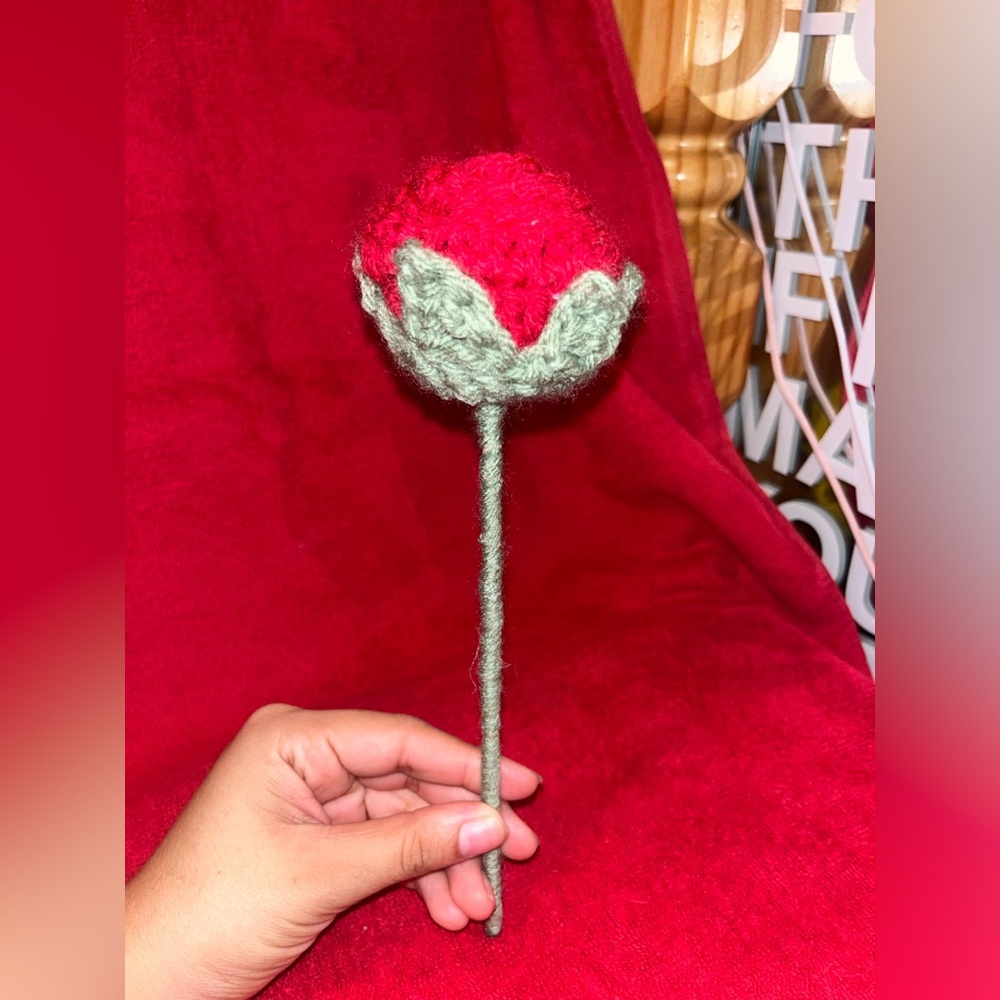 Roses - Picture 4 of 11